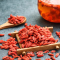 Terbaik Ningxia Berkualiti Tinggi Kering Goji Berry / Wolfberry